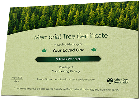 Plant Trees in Memory of Mr. Anthony R. Thurmond